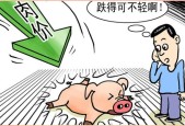 爱游戏-SOL遭遇大幅下滑超FTX%，投资者恐慌性抛售