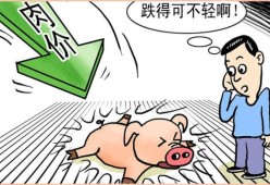 爱游戏-SOL遭遇大幅下滑超FTX%，投资者恐慌性抛售