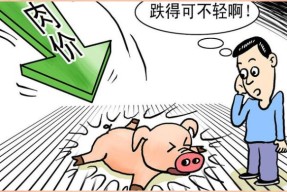 爱游戏-SOL遭遇大幅下滑超FTX%，投资者恐慌性抛售