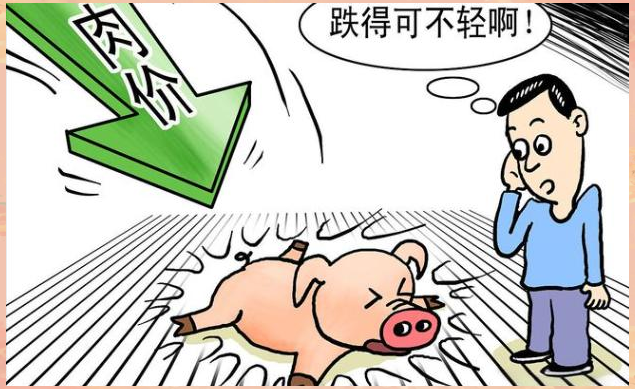 SOL遭遇大幅下滑超FTX%，投资者恐慌性抛售